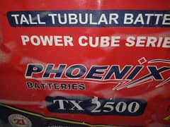 4 tall tublar batteries phoenix tx2500 230ah for sale