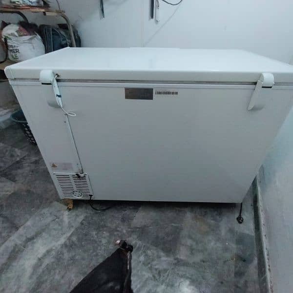 Haier HDF-405FC single door Deep Freezer 5