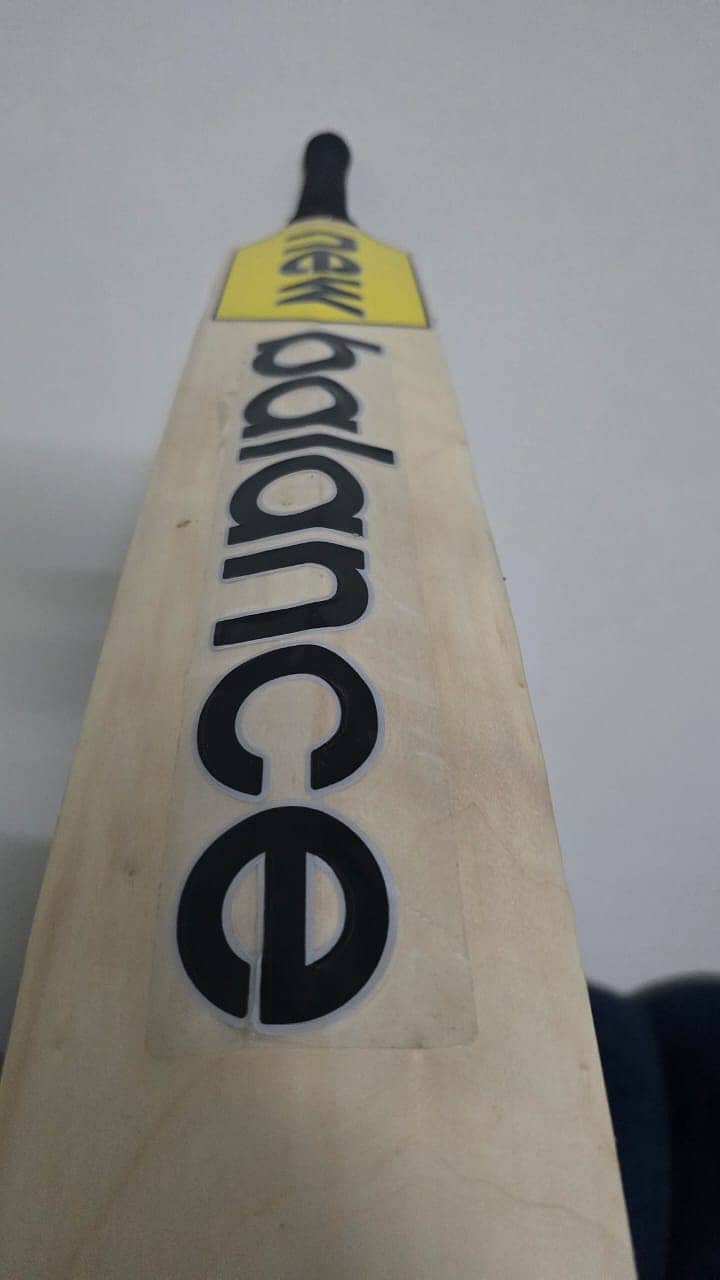 SS/MB/SF Professional Cricket Bat 10