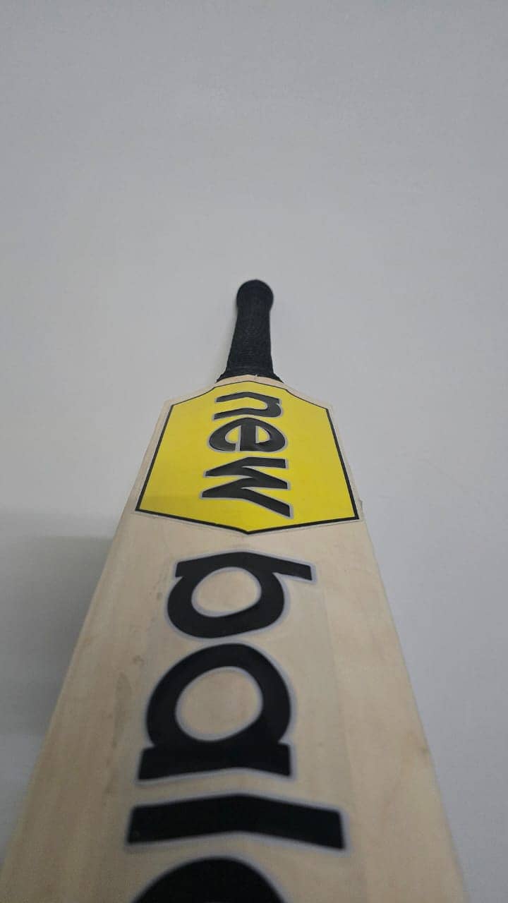 SS/MB/SF Professional Cricket Bat 11