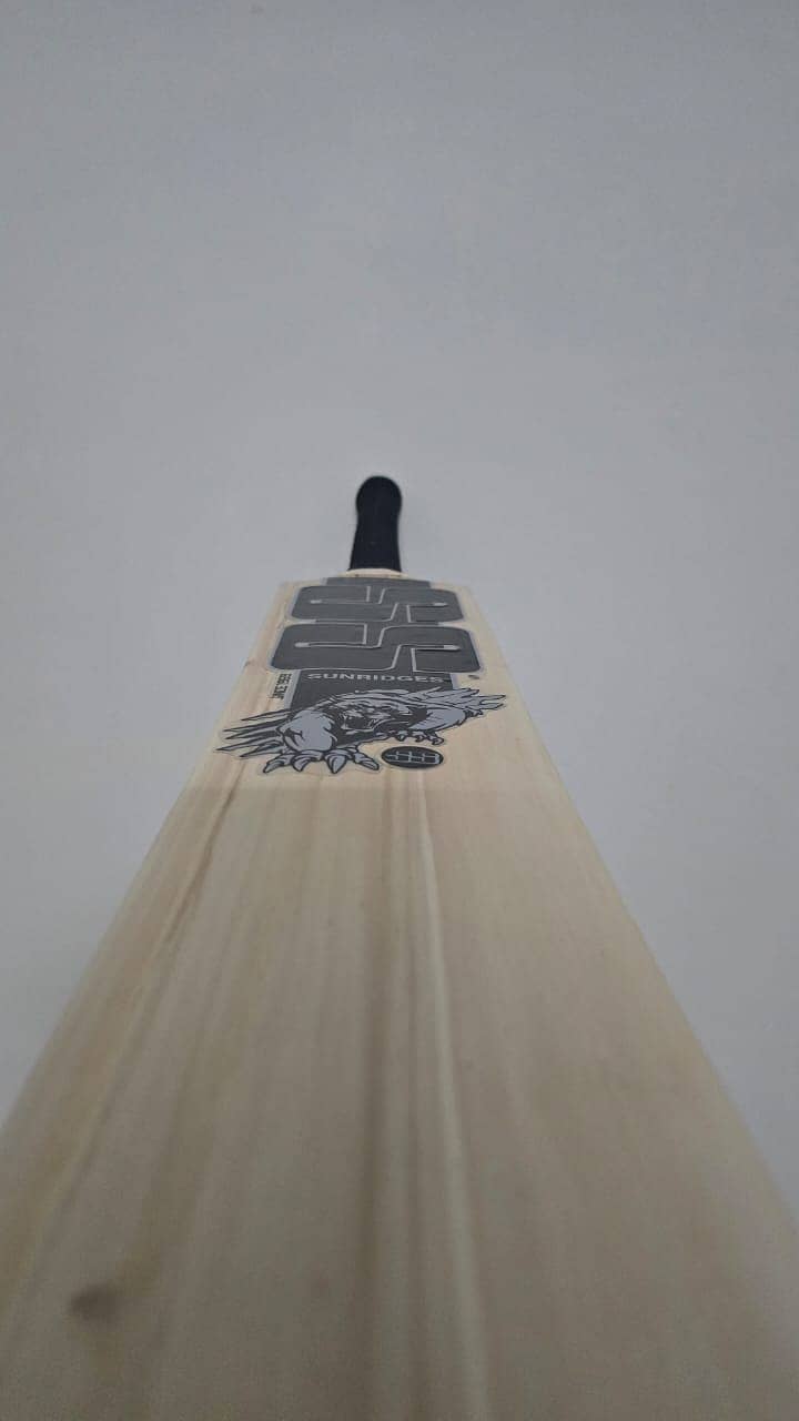 SS/MB/SF Professional Cricket Bat 13