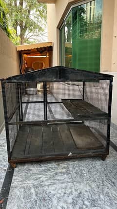 dog,cat,birds,hen iron cage