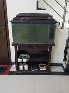 fish aquarium