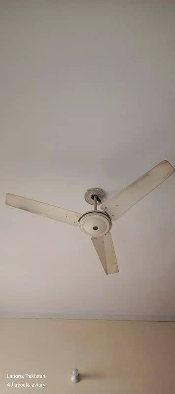 Parwaz pure copper selling fans 4000 each 15 fans available 2