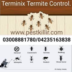 Termite control/Pest control/Deemak control/spray fumigation services