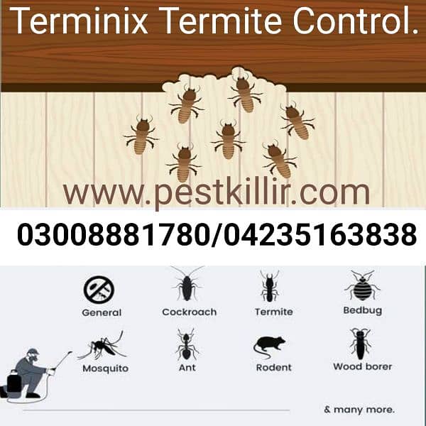 Termite control/Pest control/Deemak control/spray fumigation services 0