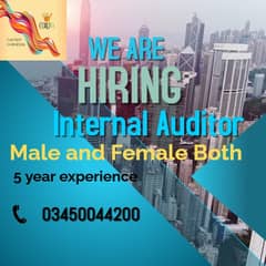 we need internal auditor