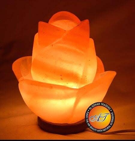 Himalayan Pink Salt Lamp Bowl Salt Lamp Natural Salt Lamp large 100% 10