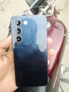 vivo y100