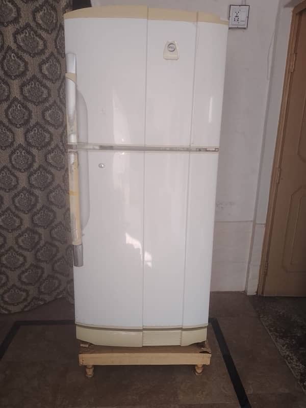 Pel Refrigerator for sale 0