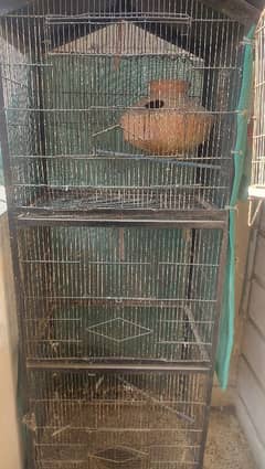 parrot cage