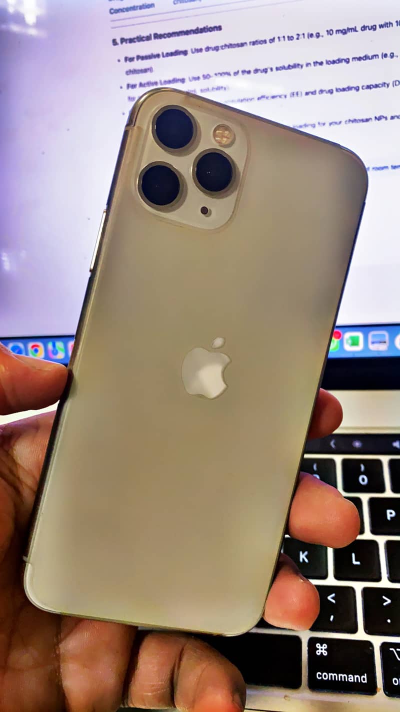 Apple iPhone 11 Pro 1