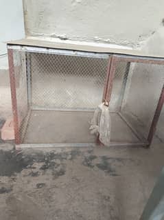 hen/birds cage