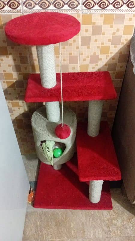 Only Cat House with accessories. 1