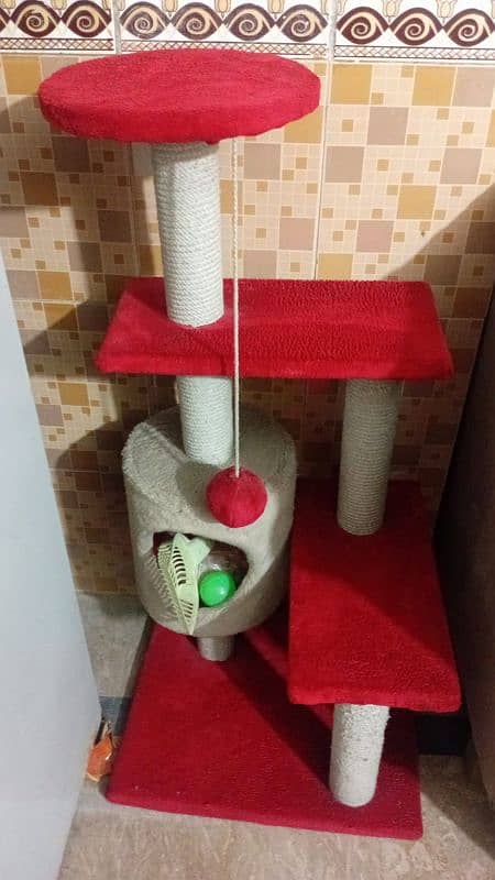 Only Cat House with accessories. 3