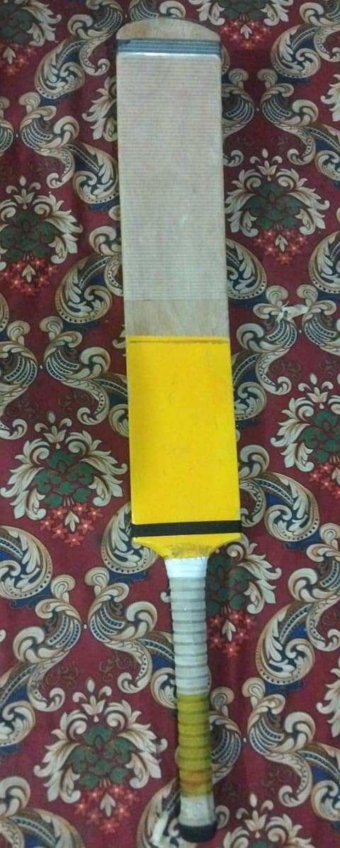 cricket Bat 1