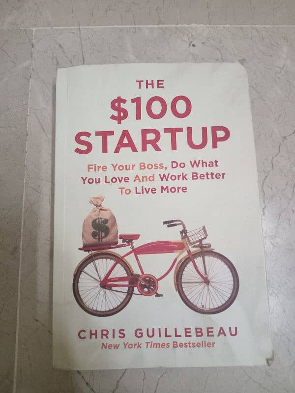 The $100 startup 0