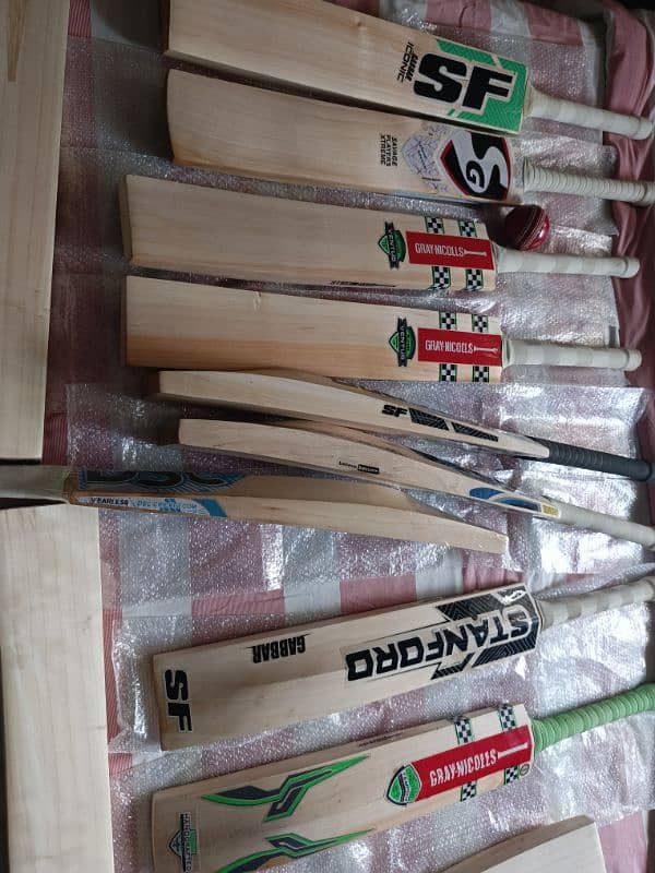 English Willow hard ball bats 2