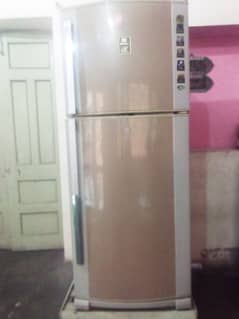 refrigerator dawnlance