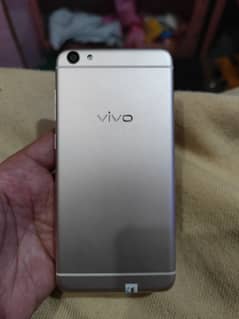 vivo