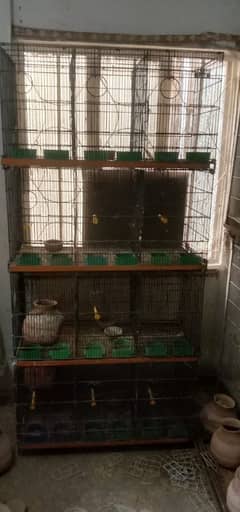 12 portion 20 portion cage Available