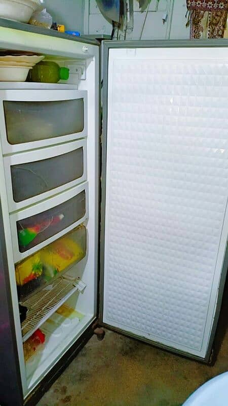 one door freezer 5