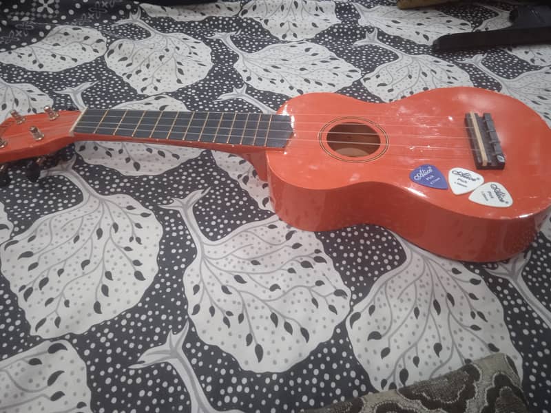 Guitar for sale 2