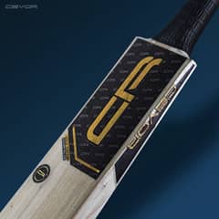 Gold Edition Brand New Hard Ball Bats