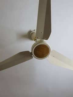 Ceiling Fans For Sale