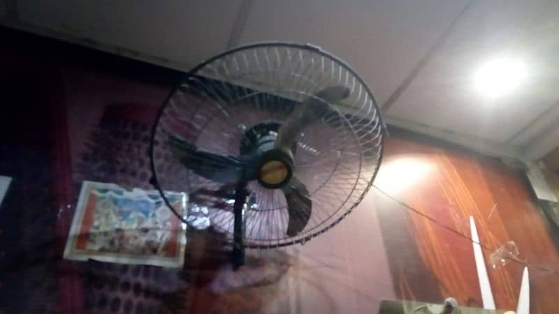 Fan for sell 1