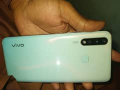 vivo