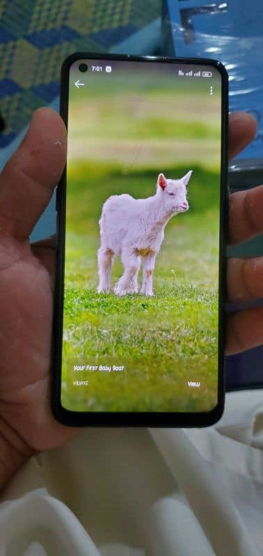 Oppo F19 Pro 8 128 2