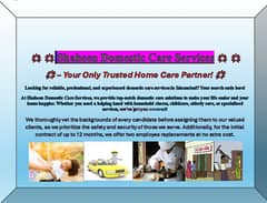 Shaheen Domestic Care Services