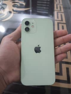 iPhone 12 PTA approved price 125k