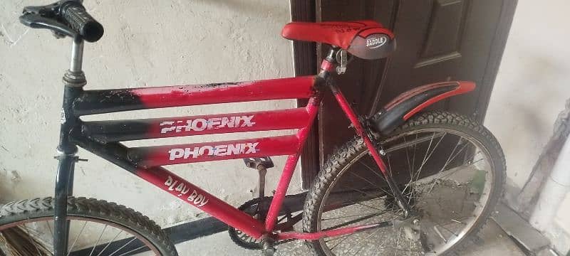 Phoenix Bicycle 1