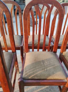 Wooden Dining Chairs for Sale