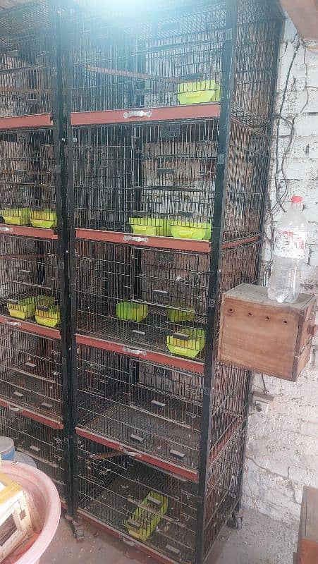 5 portion cage 0306 8519194 1