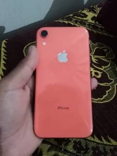 Iphone Xr 64 (gb) 10/10