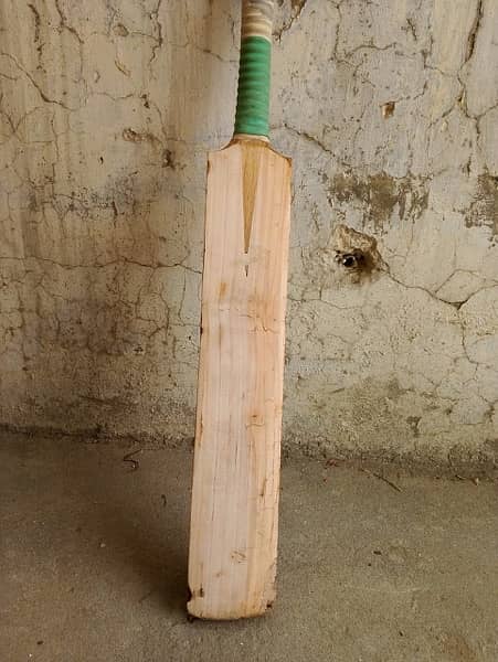 cricket full kit 4