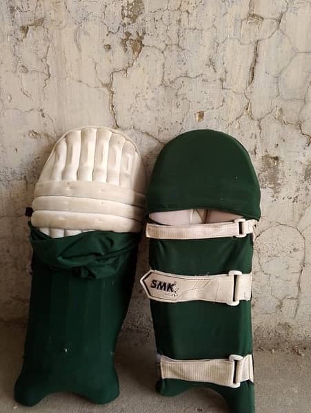 cricket full kit 7