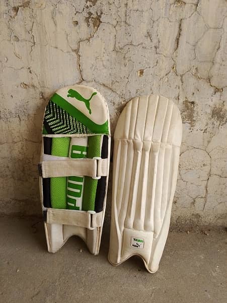 cricket full kit 8