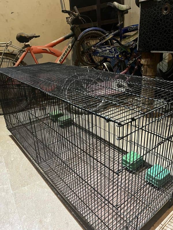 Cage for sale 0