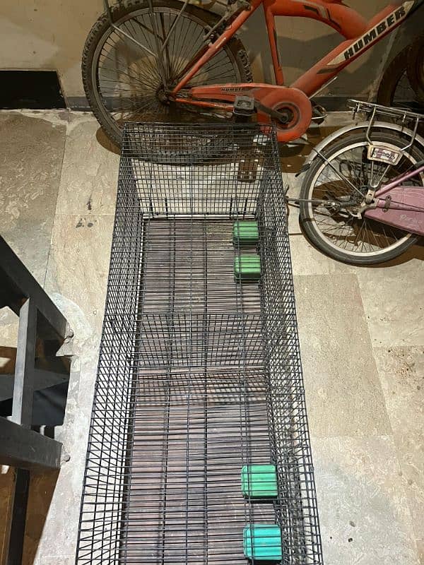 Cage for sale 2