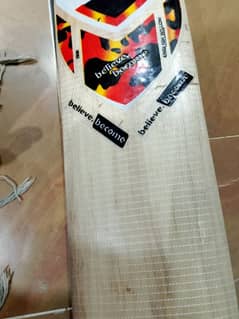 unused hard ball cricket bat