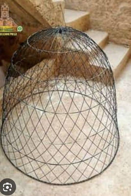 hen cage for sale 1