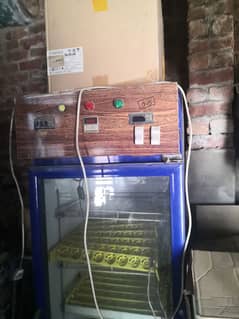 automatic incubator for 240 eggs