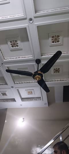 Fan Ceiling