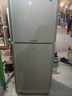 Pel Aspire Fridge Medium Size