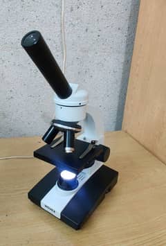 Microscope Novex L. E. D Junior  81.5