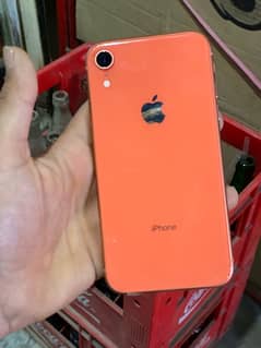 apple iphone xr